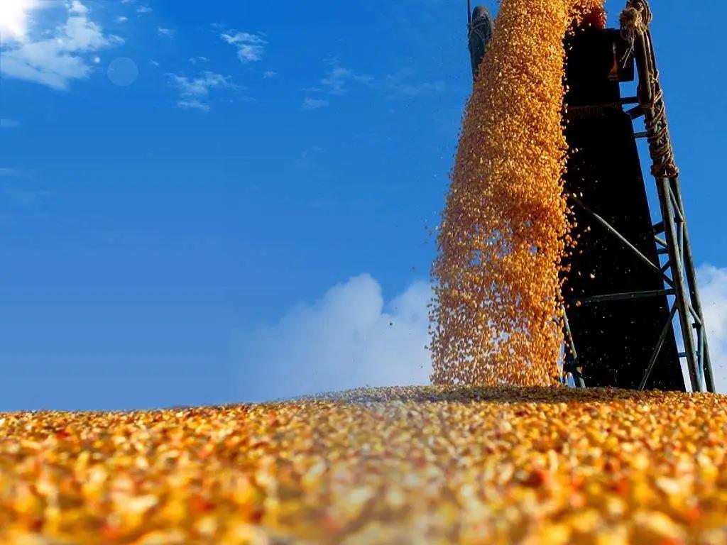 1606985635284307.jpg 微信圖片_20201203165230.jpg