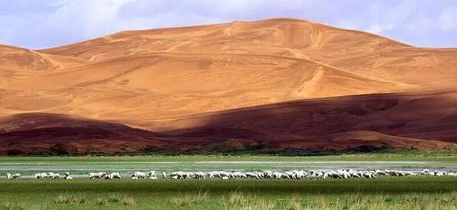 1649493975989038.jpg 微信圖片_20220409163700.jpg